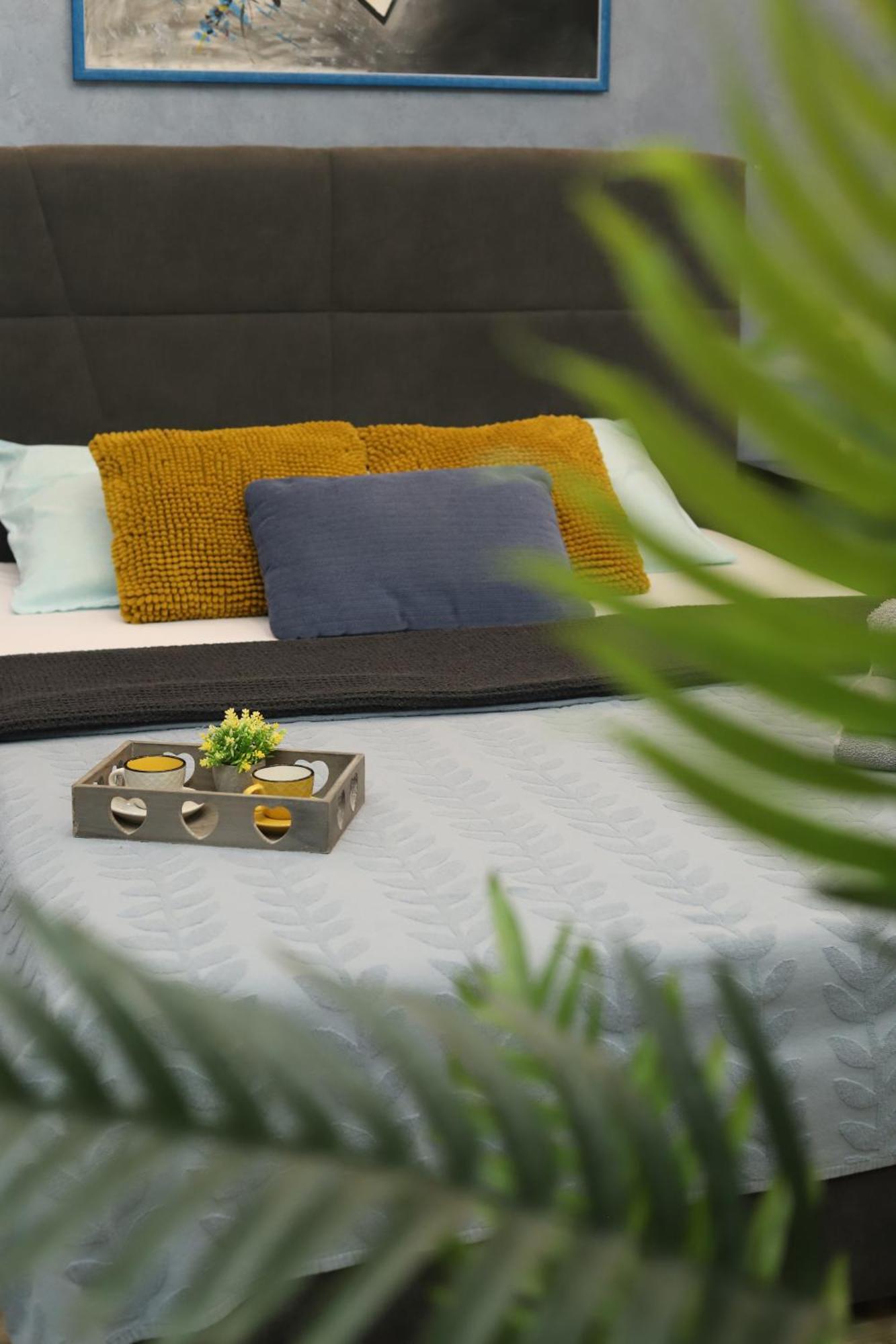 Vanimi Lux Apartmani Kikinda Esterno foto