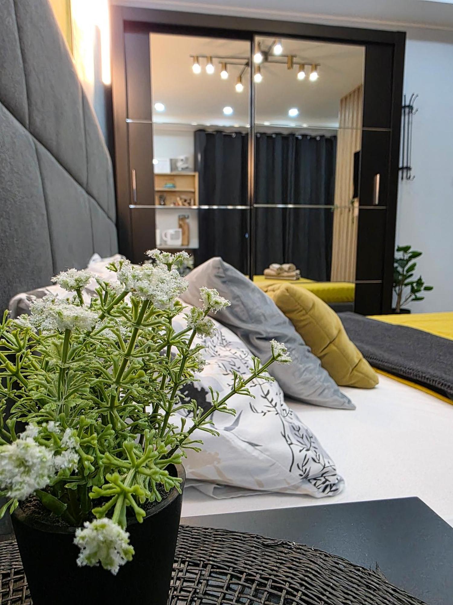 Vanimi Lux Apartmani Kikinda Esterno foto
